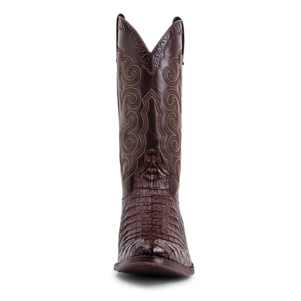 10004 SENDRA BOOTS alligator Dom COLA BARRIGA MARRON Homme, Femme